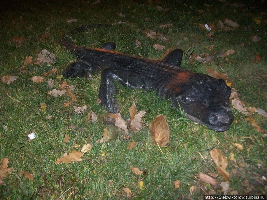 Прогулка по Орше в темноте Орша, Беларусь Прогулка по Орше в темноте Орша, Беларусь