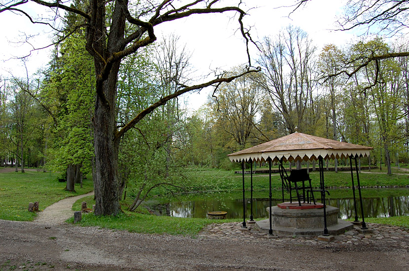 В парке Олуствере, Эстония