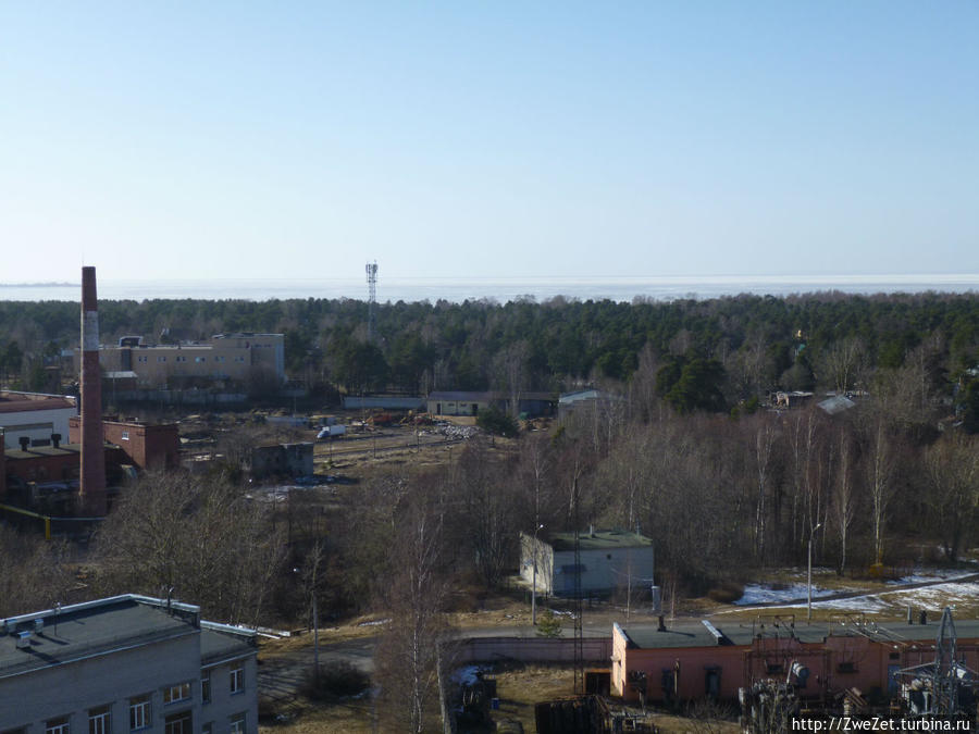 Под соснами Северной Ривьеры Сестрорецк, Россия Под соснами Северной Ривьеры Сестрорецк, Россия