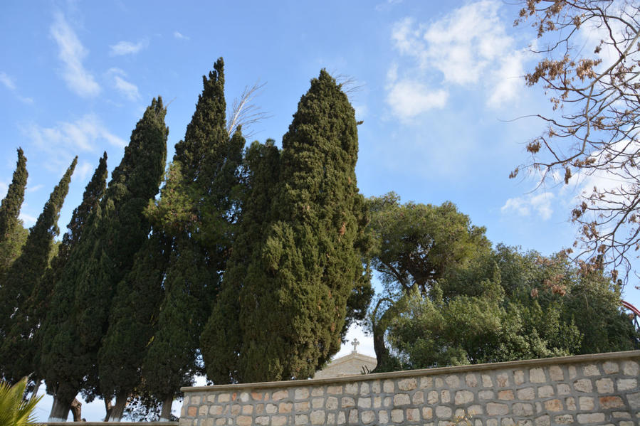 Гора Фавор. Греческая церковь Преображения Кфар-Тавор, Израиль