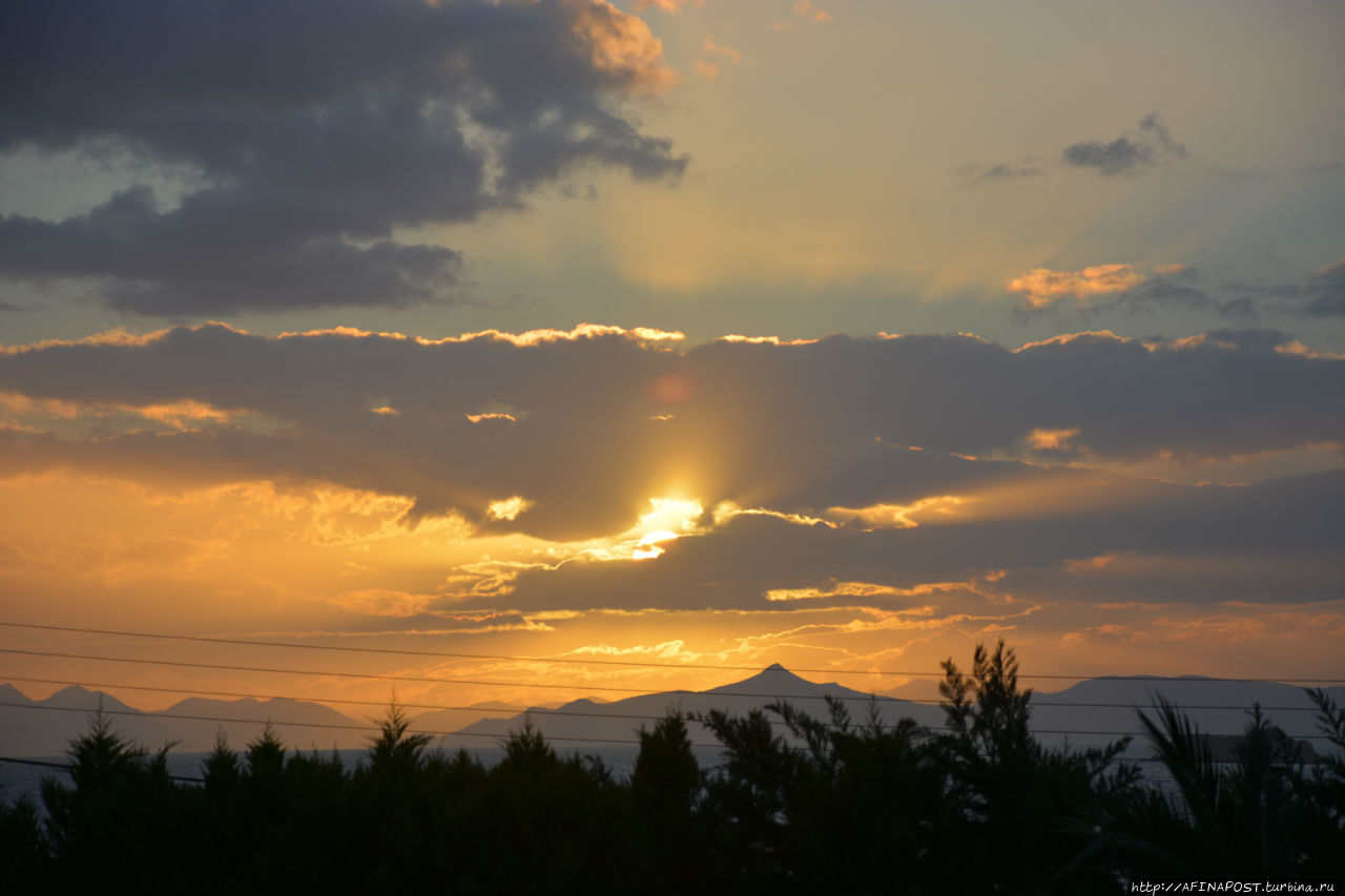 Все оттенки серого Все оттенки серого