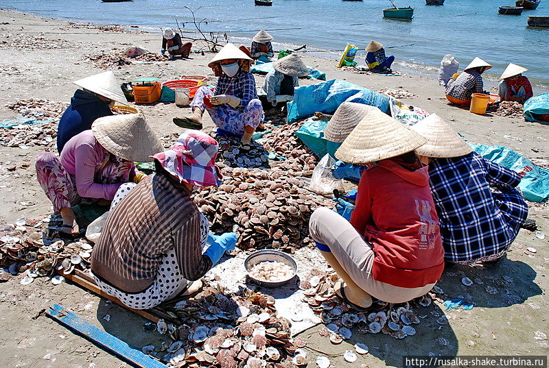 Утренняя прогулка Муй-Не, Вьетнам Утренняя прогулка Муй-Не, Вьетнам
