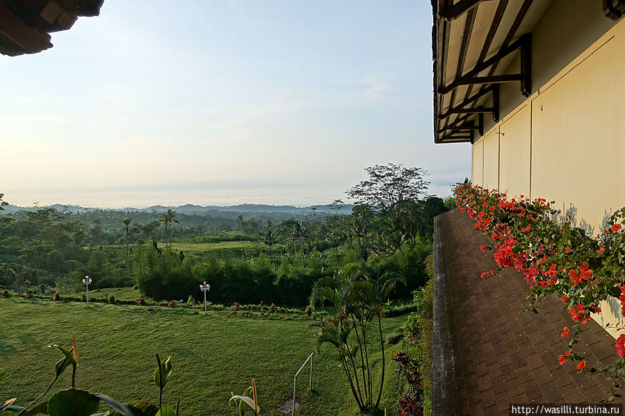 Утро. Отель Queen Garden. Утро. Отель Queen Garden.