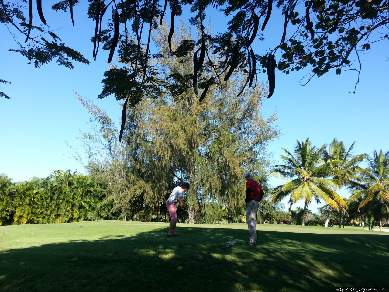 Гольф гольф гольф Доминиканская Республика