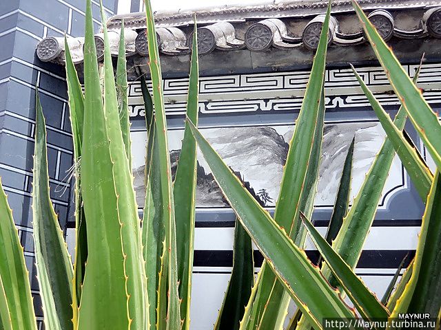 Подобными рисунками оформлены многи дома Подобными рисунками оформлены многи дома