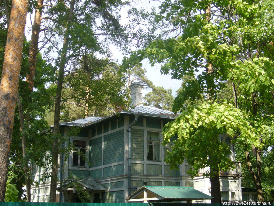 Под соснами Северной Ривьеры Сестрорецк, Россия Под соснами Северной Ривьеры Сестрорецк, Россия