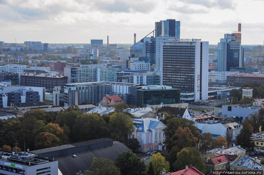 Поворачиваемся к Новому Таллину, здесь множество высоток — отели и бизнес-центры.