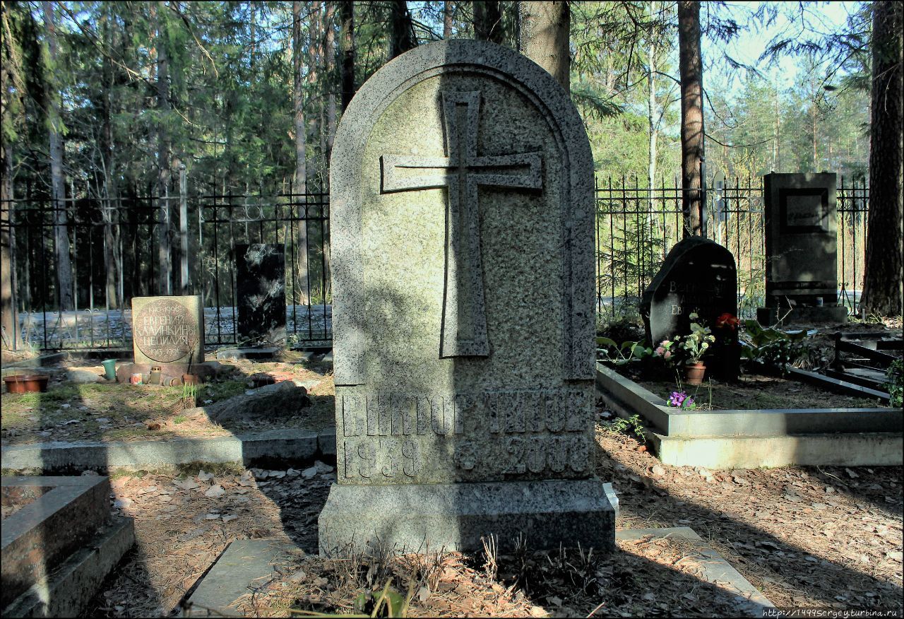 Кладбище в Комарово #5 Надежда Кошеверова, Евгений Шапиро...