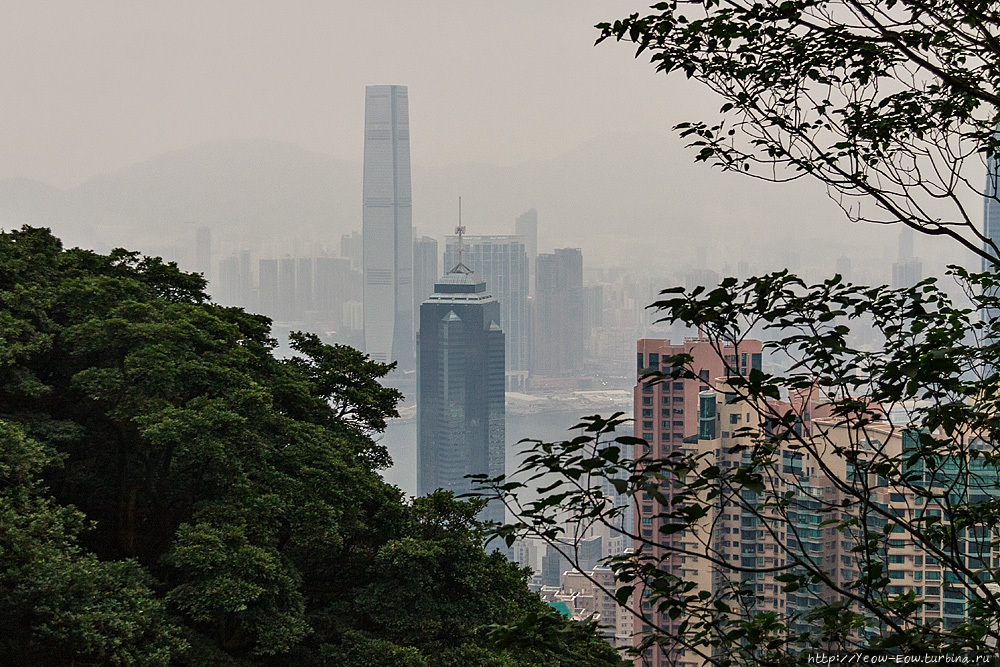 Первый взгляд на Гонконг. Пик Виктория. Виктория, Гонконг