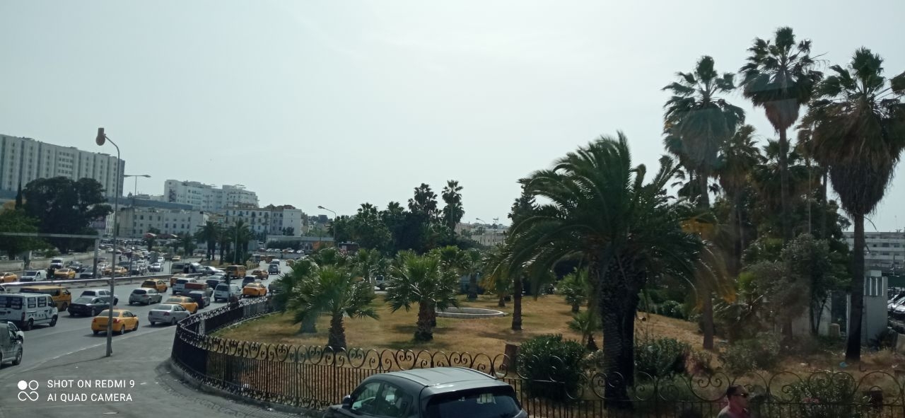 Короткая прогулка по авеню Хабиба Бургибы Тунис, Тунис