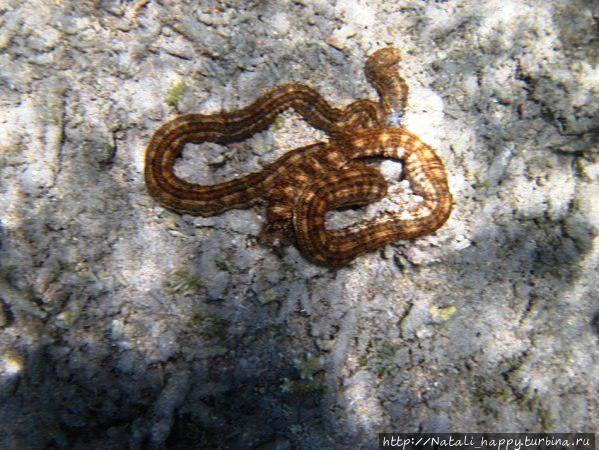 Курортное счастье Сен-Жиль, Реюньон Курортное счастье Сен-Жиль, Реюньон