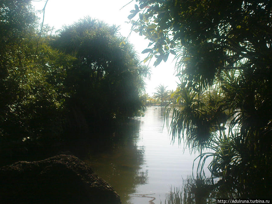 Вид на озеро Sweet Lake. Аллигаторов тут нету, а берег грязноват, но горячо облюбован туристами. Арамболь, Индия