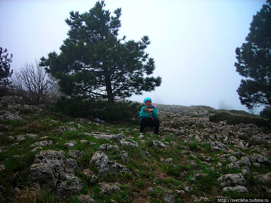 Я на вершине Ура! Я на вершине Ура!