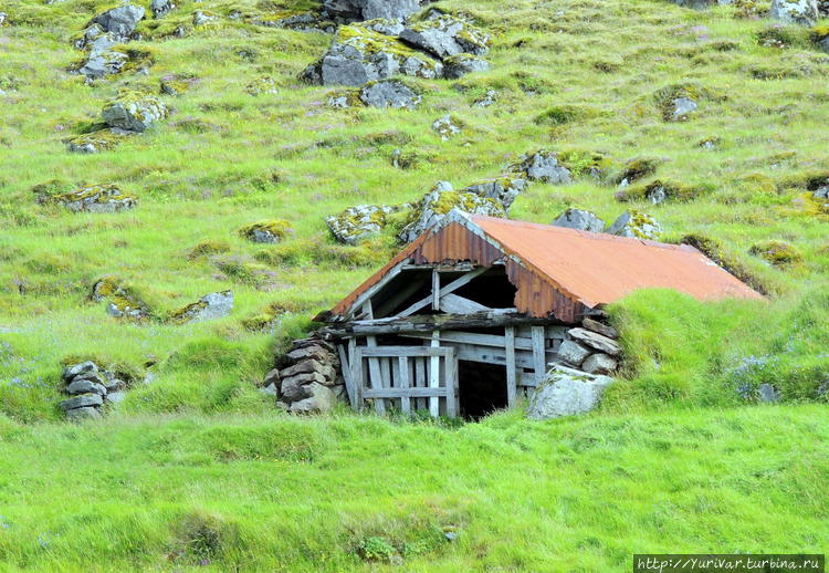 В таких домах исландцы жи