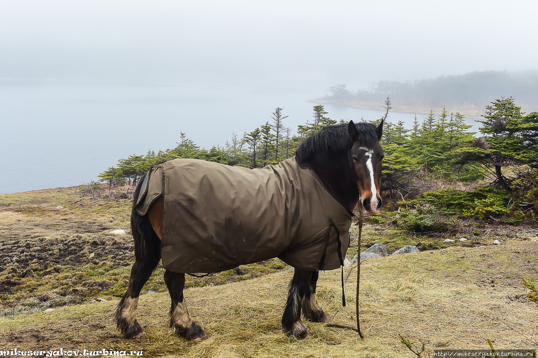 Сен-Пьер. Остатки Новой Франции Остров Сен-Пьер, Сен-Пьер и Микелон Сен-Пьер. Остатки Новой Франции Остров Сен-Пьер, Сен-Пьер и Микелон
