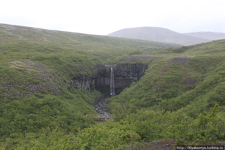 Ближе... Ближе...