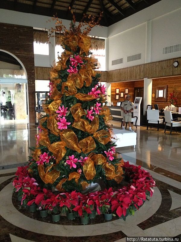 Отель Royal Suites Turquesa Отель Royal Suites Turquesa