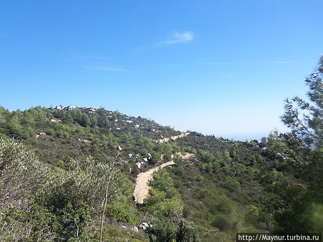 Мы были единственными , кто в этот день поднимался к крепости пешком, любопытный люд перемещался на авто, с интересом разглядывая нас. Хорошо хоть рюкзаки оставили внизу , дорога легкой бы не показалась. Но все же нам немножко повезло , какое- то расстояние мы проехали автостопом, оставшиеся 5 км. прошли на одном дыхании. Мы были единственными , кто в этот день поднимался к крепости пешком, любопытный люд перемещался на авто, с интересом разглядывая нас. Хорошо хоть рюкзаки оставили внизу , дорога легкой бы не показалась. Но все же нам немножко повезло , какое- то расстояние мы проехали автостопом, оставшиеся 5 км. прошли на одном дыхании.