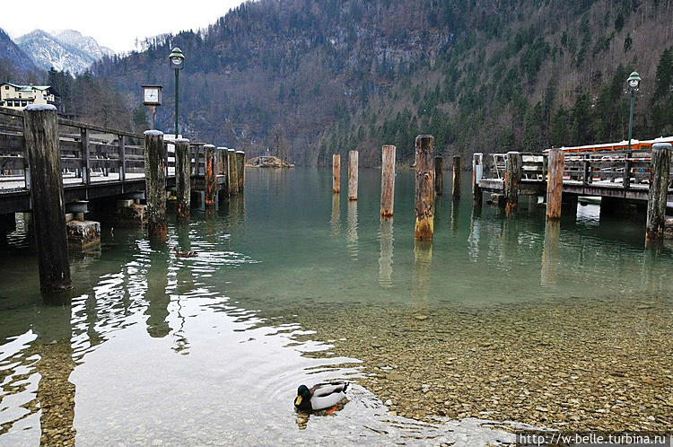 Кёнигсзее (нем. Königssee