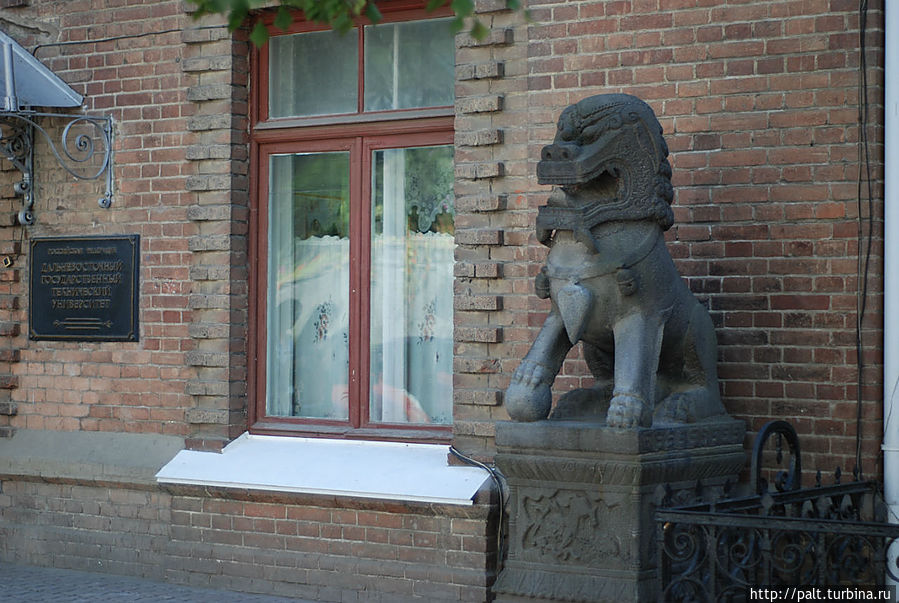 Сколько студентов хулиганили кто во что горазд около этих львов. Это традиционное место встреч бывших однокашников. Сколько студентов хулиганили кто во что горазд около этих львов. Это традиционное место встреч бывших однокашников.