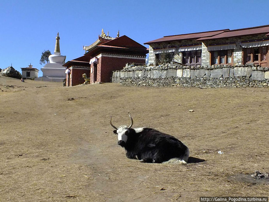 Тенгбоче, монастырь Непал