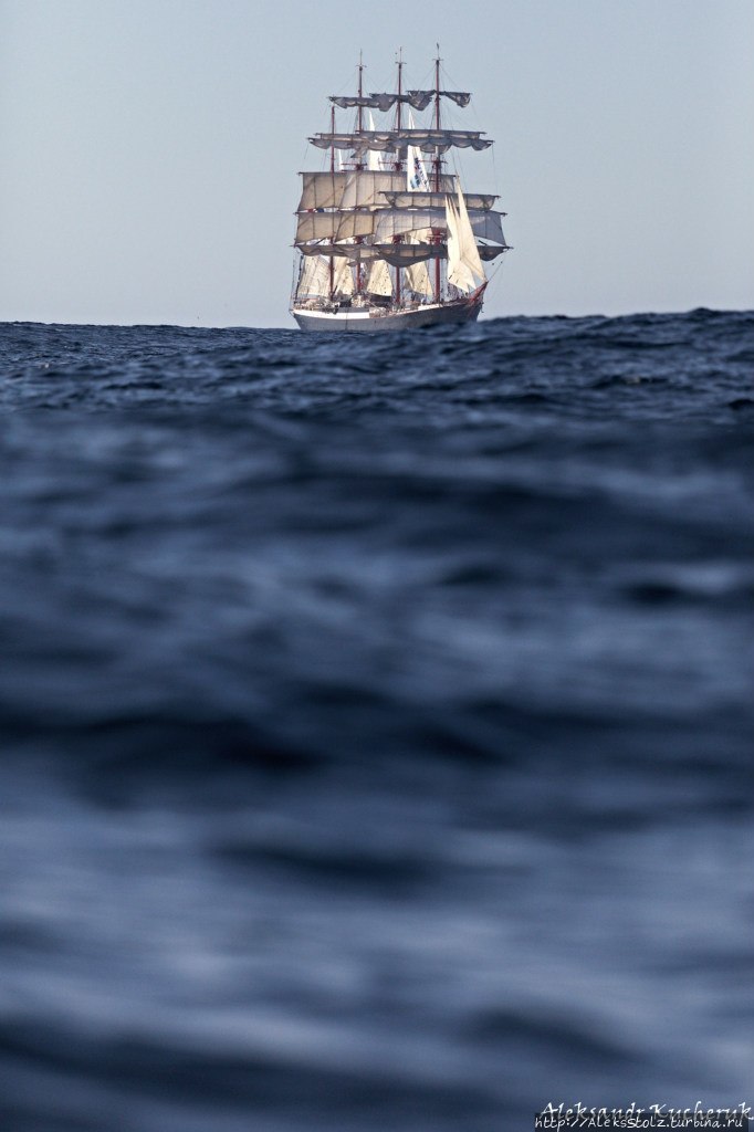 SEDOV 2014