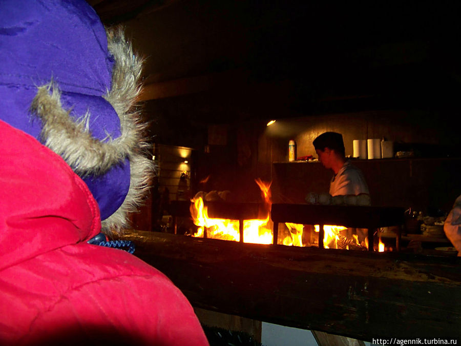 Дочка смотрит, как жарят целого кабана на вертеле Мюнхен, Германия