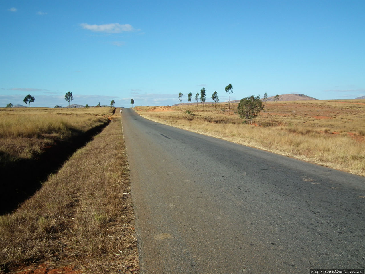 А с лягушками — облом Провинция Фианаранцуа, Мадагаскар