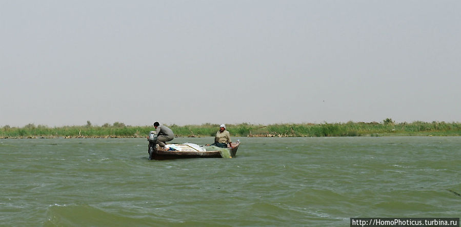 К болотным арабам Провинция Басра, Ирак