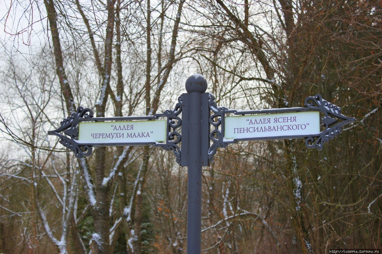 Cамый большой ботанический сад  Европы Минск, Беларусь