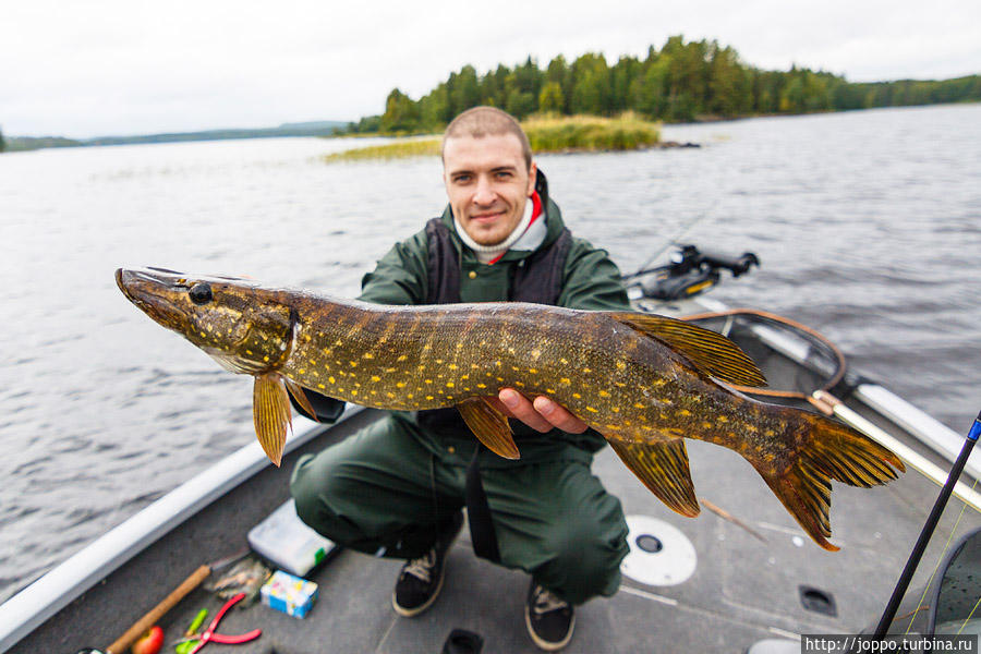Осенняя рыбалка в Мянття-Вилппула Мянття, Финляндия