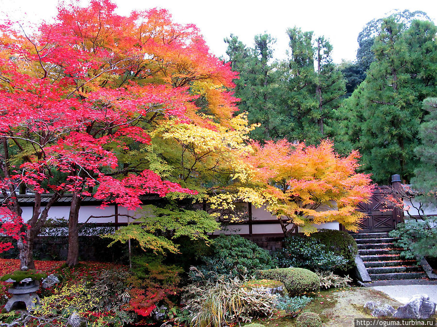 В одном из храмовых садов. Япония