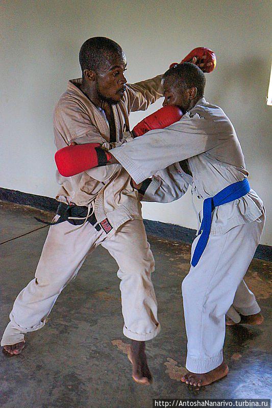 Сибирский сэнсэй Кигали, Руанда Сибирский сэнсэй Кигали, Руанда