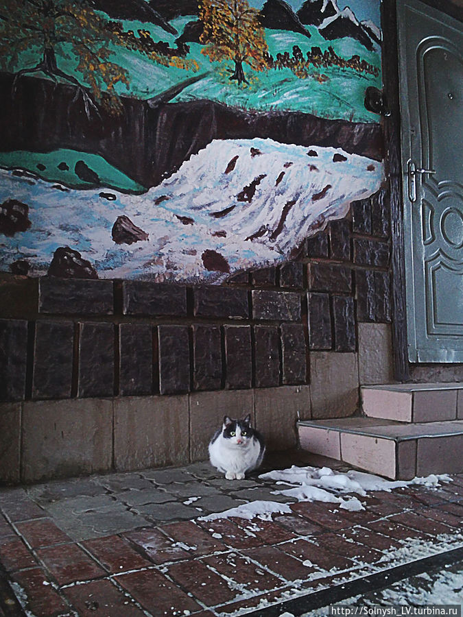 Приключения в Одессе Одесса, Украина Приключения в Одессе Одесса, Украина