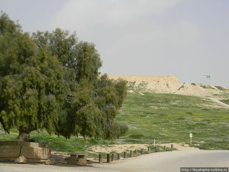 Самая загадочная крепость Арад, Израиль