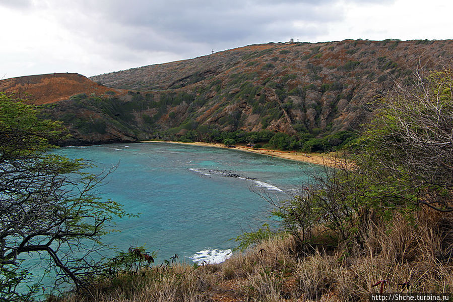 вид на Hanauma Bay со смотровой возле стоянки