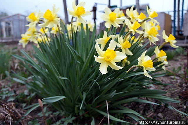 Свершилось! Южно-Сахалинск, Россия Свершилось! Южно-Сахалинск, Россия