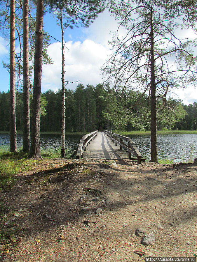 Поцелуев мостик в заповеднике Пункахарью, Финляндия