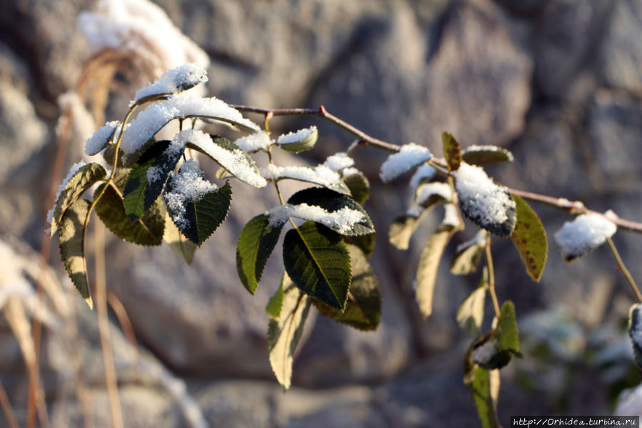 Первый снег всегда тает Харьков, Украина Первый снег всегда тает Харьков, Украина