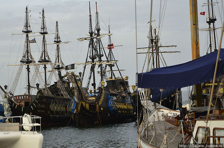 И каждый год жасмин парит в минувшем и грядущем лете Хаммамет, Тунис И каждый год жасмин парит в минувшем и грядущем лете Хаммамет, Тунис