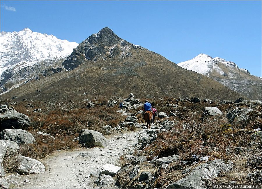 Долина Лангтанг — высота 3800 метров. У меня лично на этой высоте никаких проявлений горной болезни не наблюдалось. Для профилактики горной болезни  всё же лучше принимать некоторые лекарственные средства (диакарб или аспирин). Кстати, я заметила, что возрастные туристы лучше переносили высоту... Лангтанг, Непал