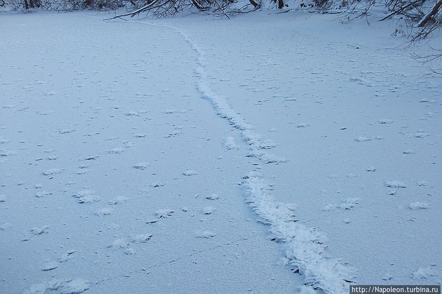 Следы на снегу Троица, Россия