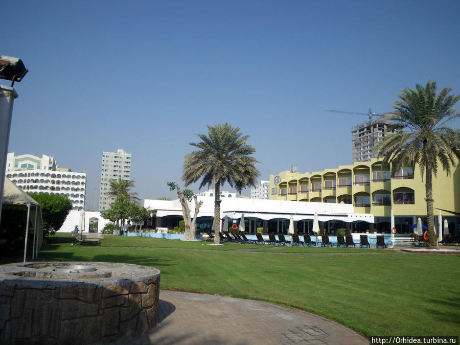 Зеленая территория, помогает переносить жару Фуджейра, ОАЭ