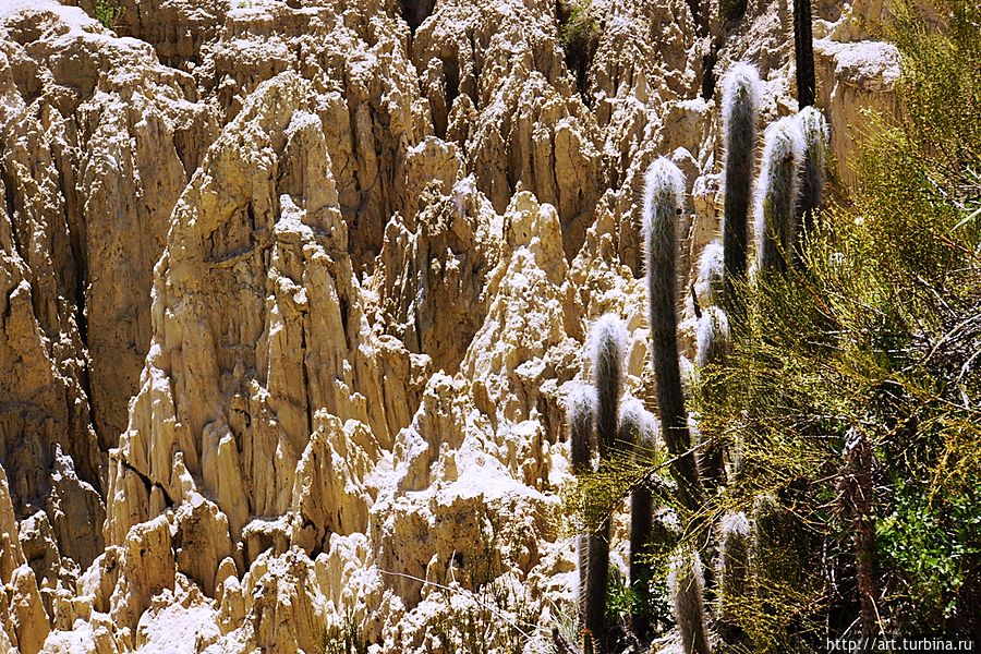 Ла-Пас. Лунная долина. Камни и кактусы. Ла-Пас, Боливия
