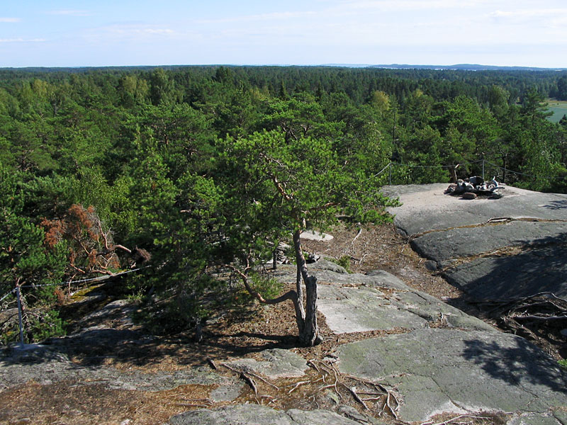 Смотровая вышка на горе Боргберг Провинция Варсинайс-Суоми, Финляндия