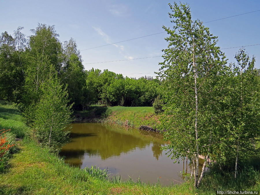 небольшой пруд на участке, несколько лет назад его выкопали здесь вручную Бишкинь, Украина