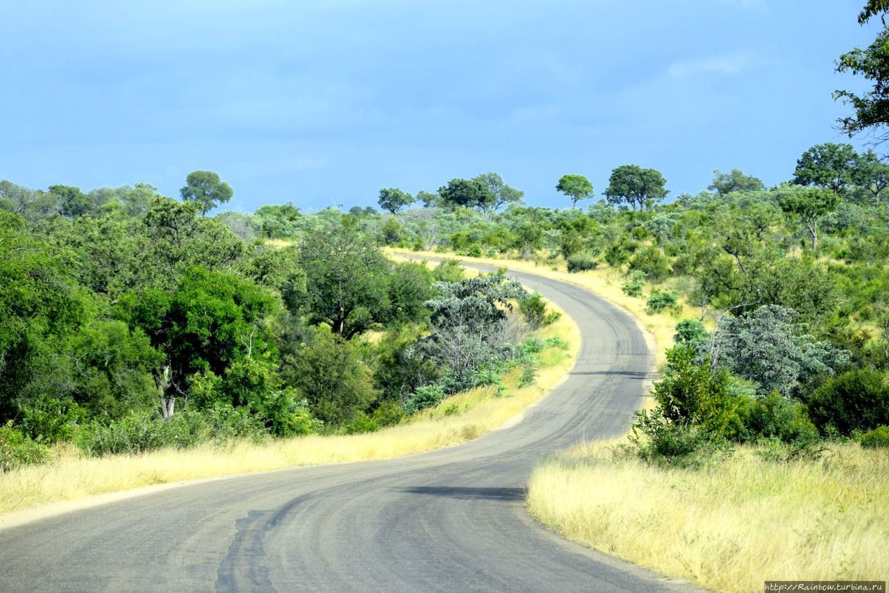 Сафари в  парке  Крюгер Национальный парк Крюгер, ЮАР