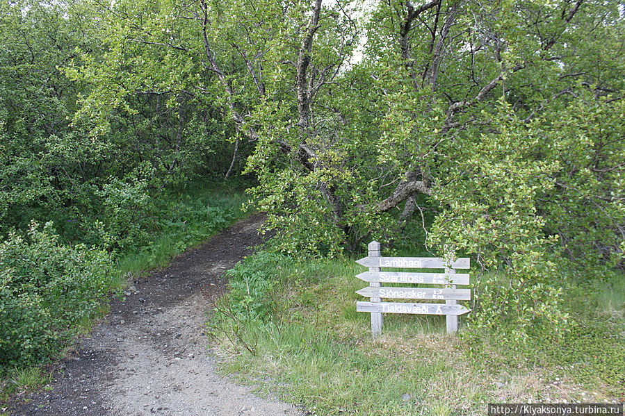 Начало пути Начало пути