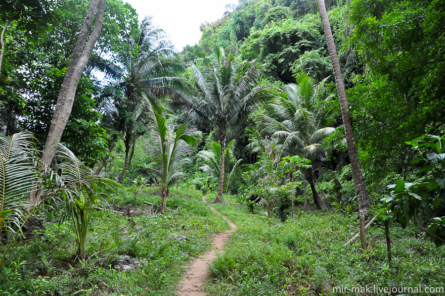 Здесь даже можно прогуляться по небольшим джунглям. Краби, Таиланд