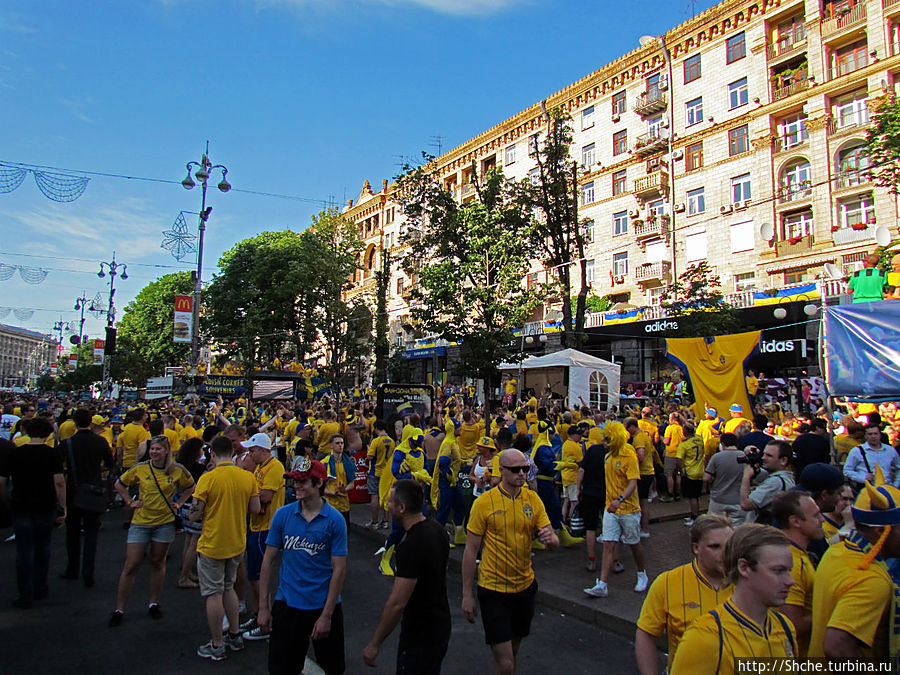 небольшое пространство было отдано шведам, именно сборная Швеции проводила в Киеве все три своих матча Киев, Украина